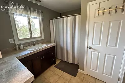 83 Pika Creek Trail, Florissant, CO 80816 - Photo 16