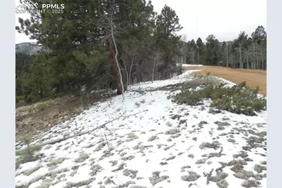 153 Idlewild Drive, Cripple Creek, CO 80813 - Photo 8