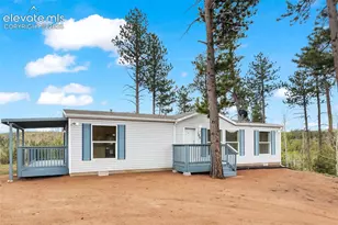 100 Wolverine Dr, Florissant, CO 80816 - Photo 2