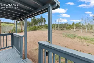 100 Wolverine Dr, Florissant, CO 80816 - Photo 8