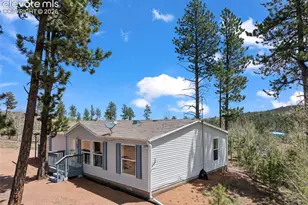 100 Wolverine Dr, Florissant, CO 80816 - Photo 4