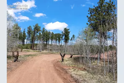 100 Wolverine Drive, Florissant, CO 80816 - Photo 6