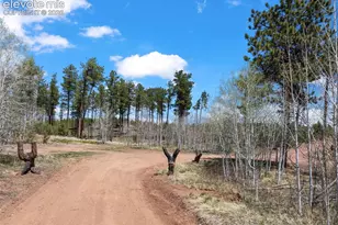 100 Wolverine Dr, Florissant, CO 80816 - Photo 6