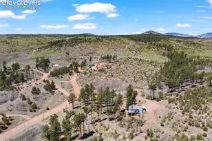 100 Wolverine Dr, Florissant, CO 80816 - Photo 44