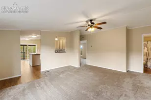 100 Wolverine Dr, Florissant, CO 80816 - Photo 14