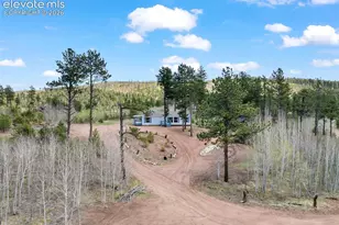 100 Wolverine Dr, Florissant, CO 80816 - Photo 1