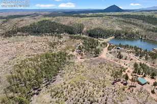 100 Wolverine Dr, Florissant, CO 80816 - Photo 42