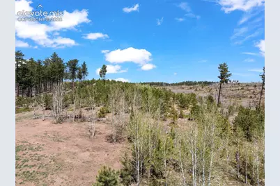 100 Wolverine Drive, Florissant, CO 80816 - Photo 46