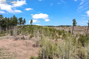 100 Wolverine Dr, Florissant, CO 80816 - Photo 46