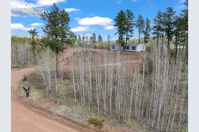 100 Wolverine Drive, Florissant, CO 80816 - Photo 12