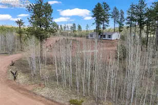 100 Wolverine Dr, Florissant, CO 80816 - Photo 12