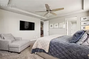 17297 Leisure Lake Dr, Monument, CO 80132 - Photo 22