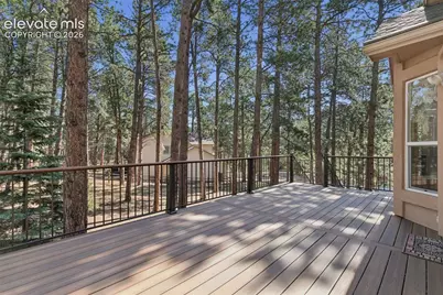 15831 Longmeadow Lane, Colorado Springs, CO 80921 - Photo 46