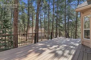 15831 Longmeadow Ln, Colorado Springs, CO 80921 - Photo 46