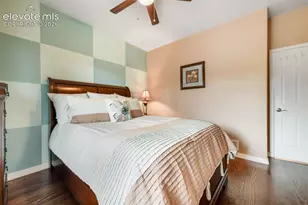 7867 Silver Birch Dr, Colorado Springs, CO 80927 - Photo 20