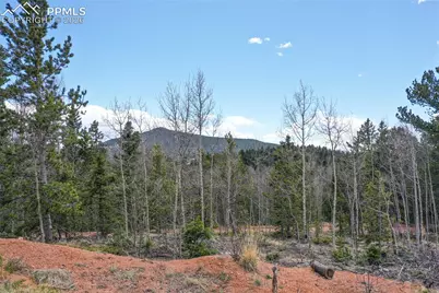 2747 County Road 61, Cripple Creek, CO 80813 - Photo 32