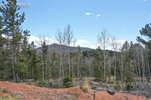 2747 Co Rd 61, Cripple Creek, CO 80813 - Photo 32