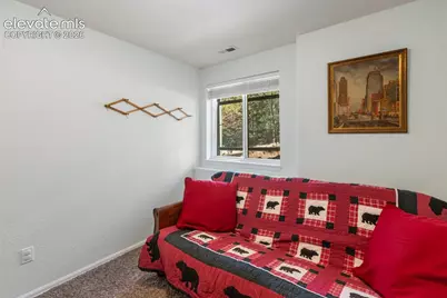 1121 Ridge Road, Divide, CO 80814 - Photo 20