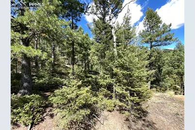 210 Waterfall Loop, Manitou Springs, CO 80829 - Photo 10