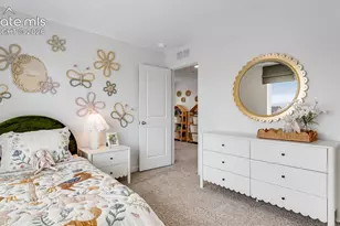 6681 Raven Rdg Ter, Colorado Springs, CO 80925 - Photo 10