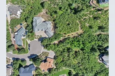 4350 Kincaid Court, Colorado Springs, CO 80906 - Photo 6