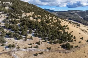 Private Rd, Cripple Creek, CO 80813 - Photo 1