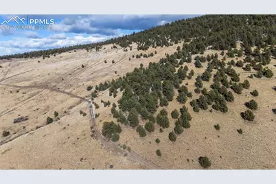 Private Road, Cripple Creek, CO 80813 - Photo 2