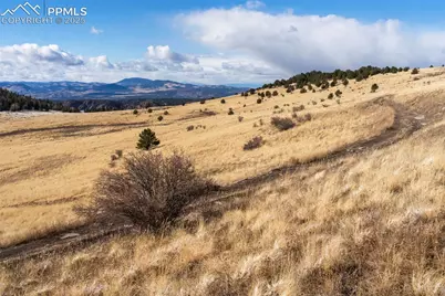 Private Road, Cripple Creek, CO 80813 - Photo 8