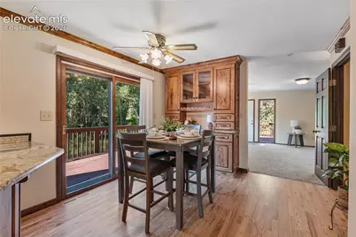 222 Clio Avenue, Palmer Lake, CO 80133 - Photo 10