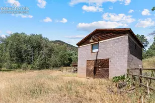 222 Clio Ave, Palmer Lake, CO 80133 - Photo 36