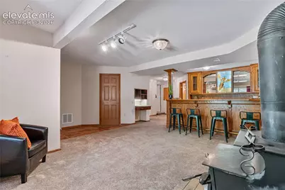 222 Clio Avenue, Palmer Lake, CO 80133 - Photo 24