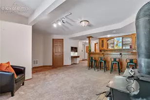 222 Clio Ave, Palmer Lake, CO 80133 - Photo 24
