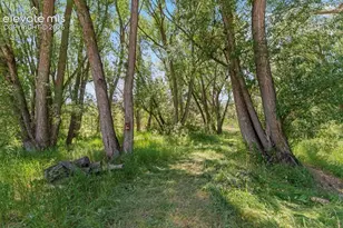 222 Clio Ave, Palmer Lake, CO 80133 - Photo 42