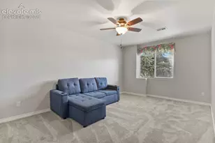 1355 Almagre Peak Dr, Colorado Springs, CO 80921 - Photo 28