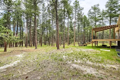 8750 Tannenbaum Road, Colorado Springs, CO 80908 - Photo 46