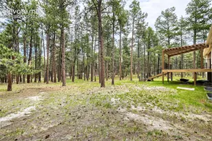 8750 Tannenbaum Rd, Colorado Springs, CO 80908 - Photo 46