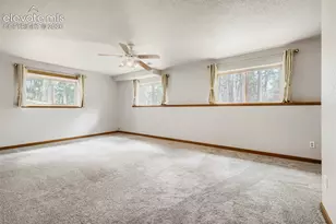 8750 Tannenbaum Rd, Colorado Springs, CO 80908 - Photo 34