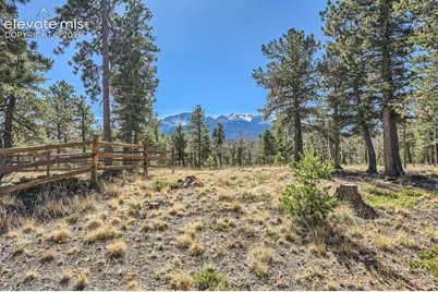 9 Arapahoe Street, Woodland Park, CO 80863 - Photo 4