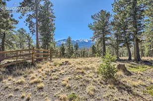 9 Arapahoe St, Woodland Park, CO 80863 - Photo 4