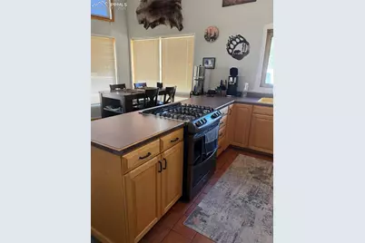 450 Schierl Road, Fort Garland, CO 81133 - Photo 26