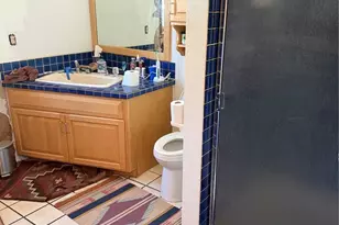 450 Schierl Rd, Fort Garland, CO 81133 - Photo 32