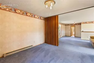 1506 Lake Pl, Divide, CO 80814 - Photo 30