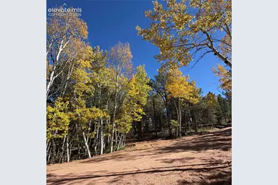 773 Timber Ridge Road, Divide, CO 80814 - Photo 20
