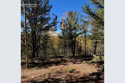 773 Timber Ridge Road, Divide, CO 80814 - Photo 4