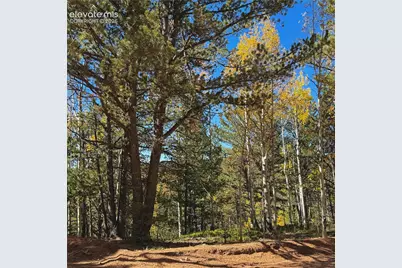 773 Timber Ridge Road, Divide, CO 80814 - Photo 18