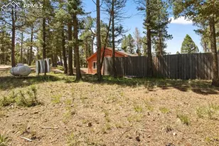 31 Handcart Cir, Florissant, CO 80816 - Photo 32