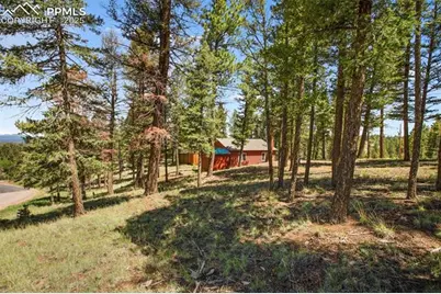 31 Handcart Circle, Florissant, CO 80816 - Photo 34