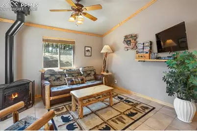 31 Handcart Circle, Florissant, CO 80816 - Photo 6