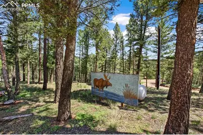 31 Handcart Circle, Florissant, CO 80816 - Photo 28