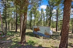 31 Handcart Cir, Florissant, CO 80816 - Photo 28
